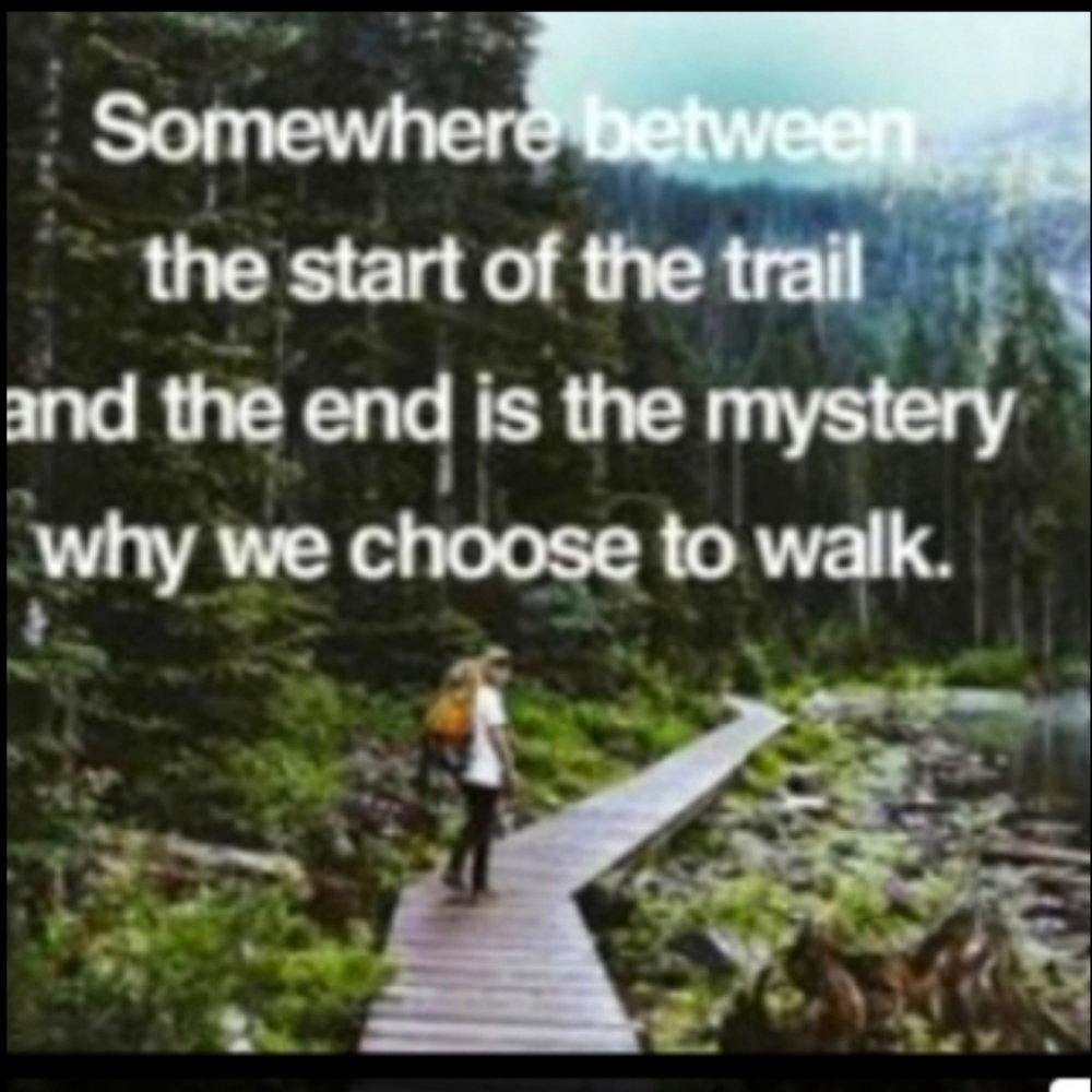 SHAM CHAMBRAY QUILTED PILLOWCASE 21x27 AMAZING POINTS Navy & Red EVC - Picture 9 of 12